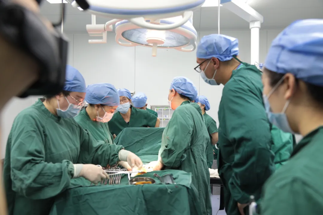 图片 3.png 图片 3.png